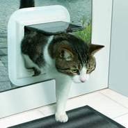 Cat flaps installed Bournemouth
